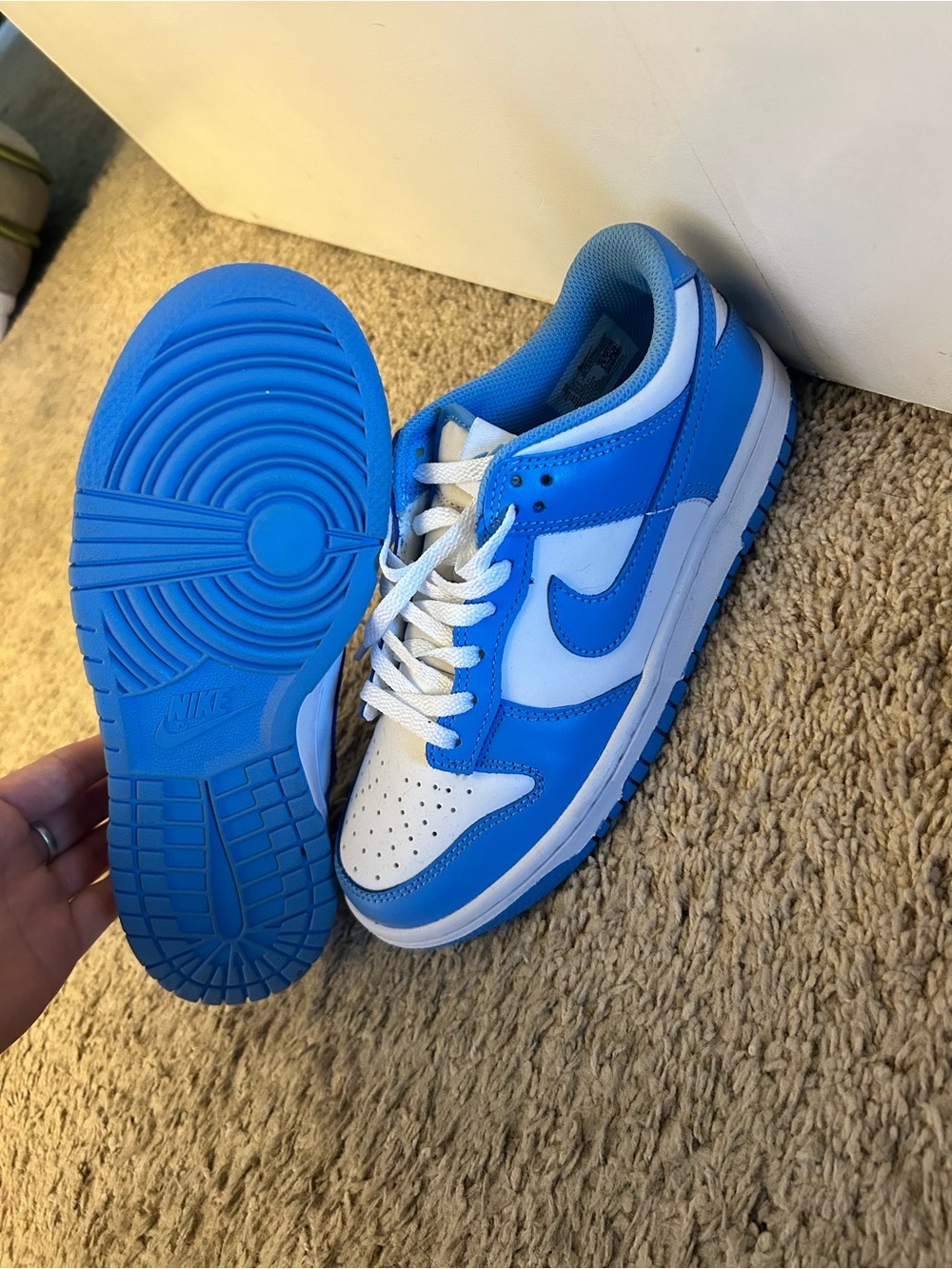 Nike Dunks Sneakers in Blue/White